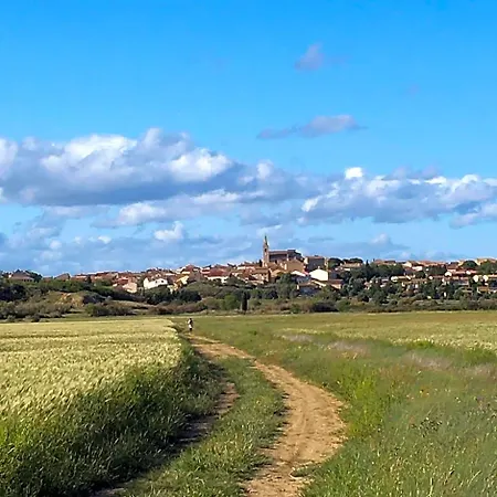 Ovillage Panzió